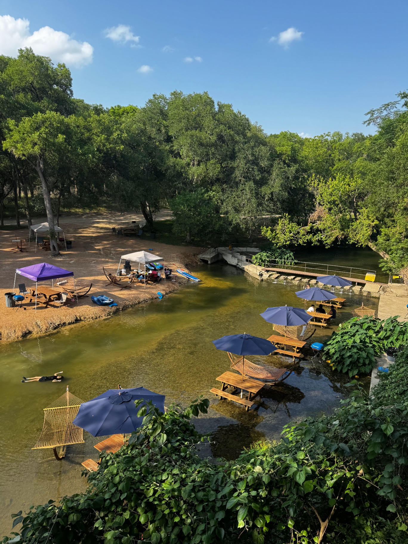 Aerial view of picnic areas